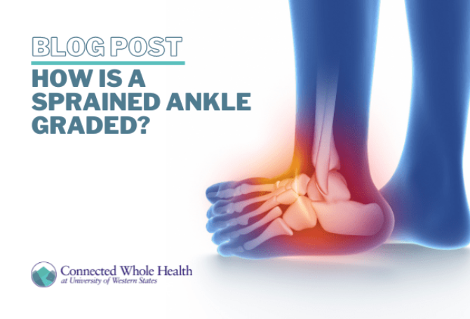 Image for How is a sprained ankle graded?