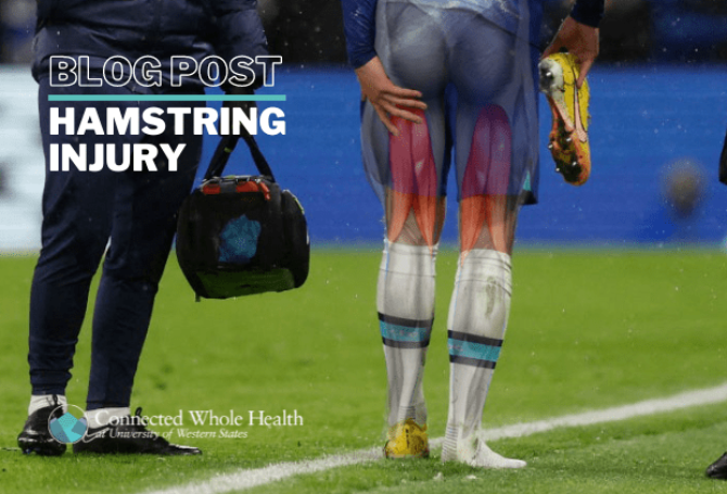 Image for Hamstring Injury