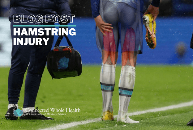 Hamstring Injury - UWS Connected Whole Health - UWS Connected Whole Health